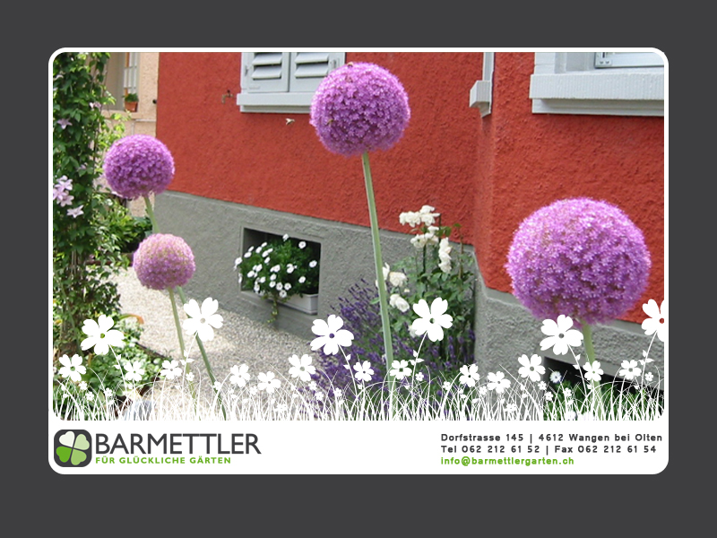 Barmettler Garten GmbH